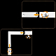 photo-2991937