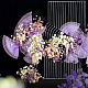 photo-2985782