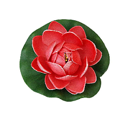 Лилия плавающая 10х10 см алый